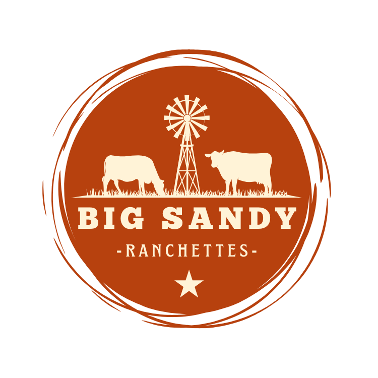 Big Sandy Ranchettes logo